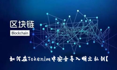 如何在Tokenim中安全导入明文私钥？