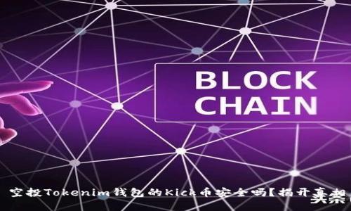 空投Tokenim钱包的Kick币安全吗？揭开真相