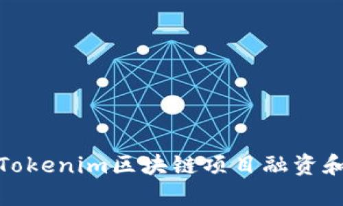 如何通过Tokenim区块链项目融资和社区建设