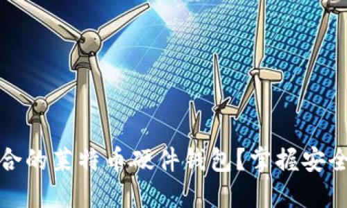 如何选择最适合的莱特币硬件钱包？掌握安全与便捷的平衡