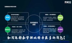 :如何选择和管理比特币最多的钱包？