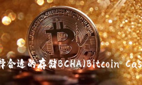 如何选择合适的存储BCHA（Bitcoin Cash ABC）