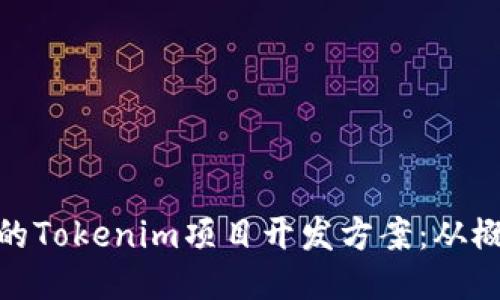 打造高效的Tokenim项目开发方案：从概念到落地
