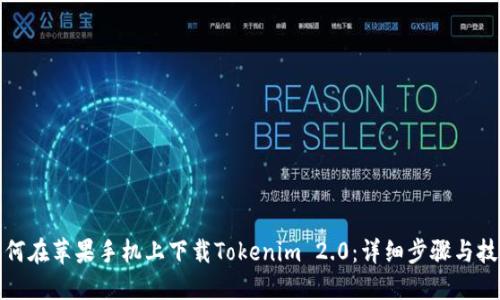如何在苹果手机上下载Tokenim 2.0：详细步骤与技巧